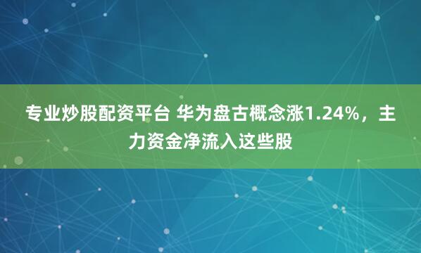 专业炒股配资平台 华为盘古概念涨1.24%，主力资金净流入这些股