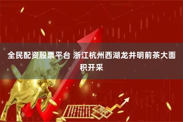 全民配资股票平台 浙江杭州西湖龙井明前茶大面积开采